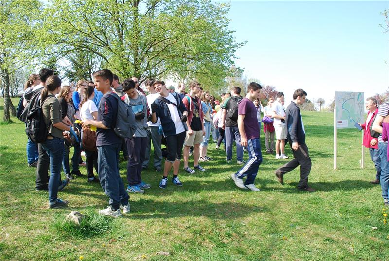 Voluntarii clujeni au curăţat 7 km din Făget GALERIE FOTO