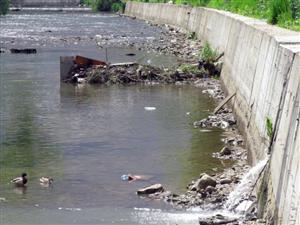 Campanie de igienizare a râului Someșul Mic 
