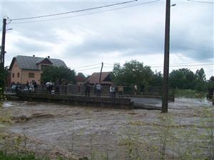 Vine potopul! Mai multe gospodării din judeţul Cluj au fost inundate
