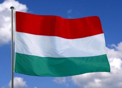 Ungaria vrea să construiască un gard la graniţa cu Serbia pentru combaterea imigraţiei ilegale