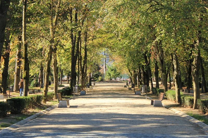 Taxa de intrare în parcul Iuliu Haţieganu nu poate fi eliminată. Care este motivul