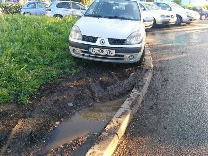 RUPE-ŢI PERMISUL! Spaţiul verde, aşternut pufos pentru roţile autoturismelor