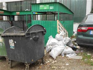 Consiliul Civic Local îi cere lui Emil Boc dezbatere publică pe creşterea preţului pentru ridicarea gunoiului