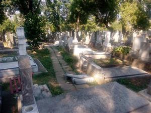 27 de morminte vandalizate într-un cimitir din Cluj-Napoca FOTO