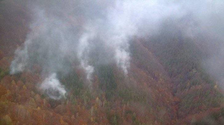 Incendiu pe pădure în zona Măguri Răcătău. S-a intervenit cu un elicopter al MAI
