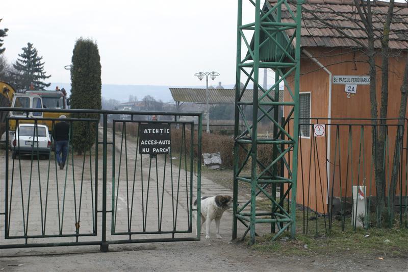 CFR, de acord să predea Parcul Feroviarilor Primăriei Cluj-Napoca. Ce paşi au făcut autorităţile locale SONDAJ