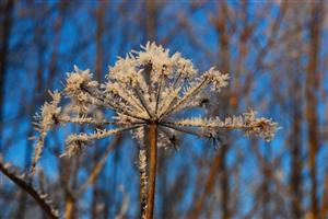 Vremea se va menţine rece. Prognoza meteo pentru luni şi marţi