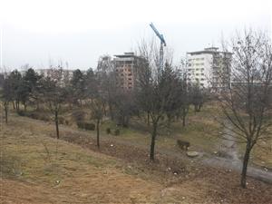Un nou mall în Cluj sau zonă verde? Primăria, prinsă la mijloc