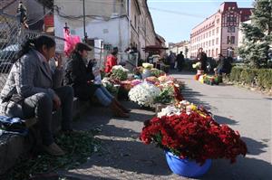 Vine primăvara: fiscul se bagă între florari