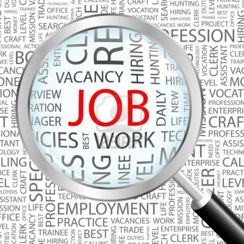Peste două sute de locuri de muncă sunt vacante în Spaţiul Economic European