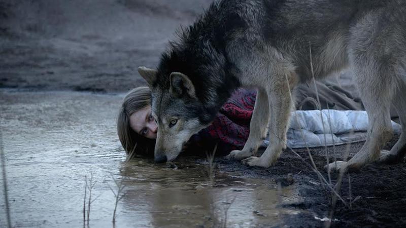 O fată-lup, un papagal spion și vaci cuvântătoare, în secțiunea #Animal la TIFF 2016