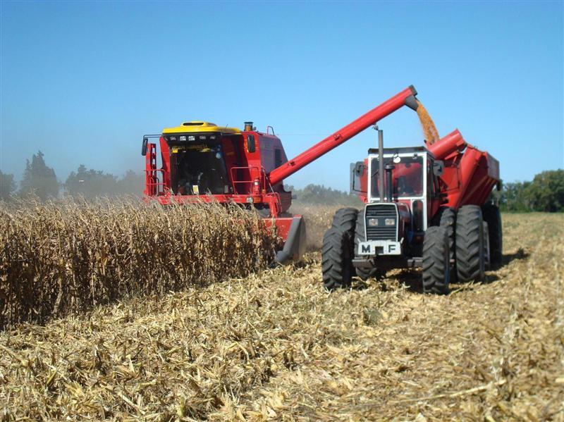 2016, cel mai bun an pentru agricultura românească din ultimul deceniu. Business de 24,5 miliarde lei 
