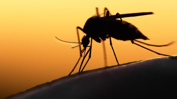 Primul caz de infectare cu virusul Zika, confirmat în România