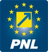  Surprizele PNL pentru alegerile parlamentare