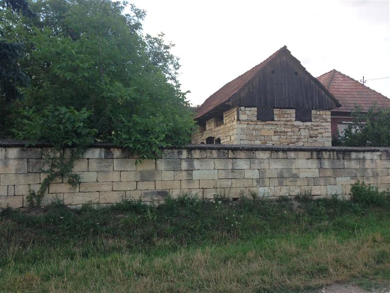 Târg al satului românesc la Dârja, localitatea în care s-a născut prof. Iuliu Haţieganu