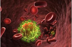Terapie pentru distrugerea HIV, experimentată cu succes