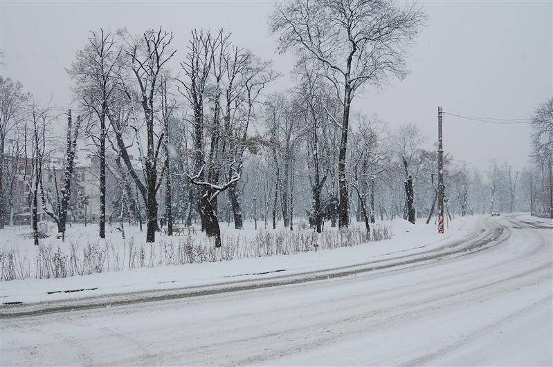 Cod galben de vânt și ninsoare moderată la Cluj