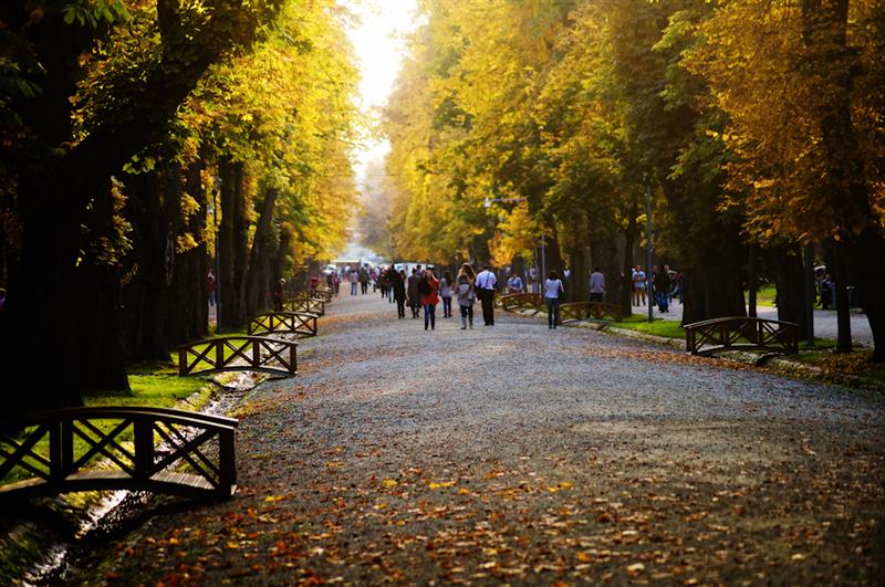 Informarea meteo de vreme ploioasă și rece, prelungită până vineri dimineață