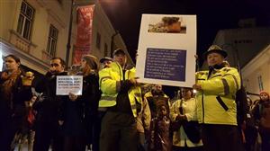Protest anemic la Cluj față de împușcarea ursului. Au cerut stoparea defrișărilor
