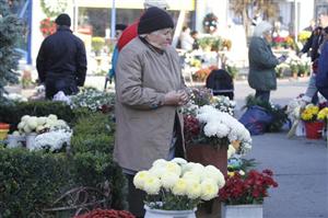 Unde se vând flori şi lumânări pentru Luminaţie, la Cluj