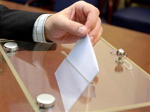 Alegerile parlamentare în diaspora: două milioane de buletine de vot, 417 secţii. Se votează timp de 36 de ore