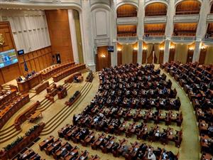 Parlamentari clujeni ai opoziţiei critică ancheta lui Dragnea: 