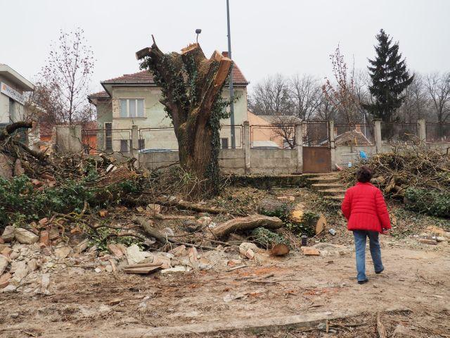 Verificări dispuse de prefect la prima grădină botanică a Clujului