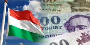 Vă sună cunoscut? Guvernul ungar promite că va creşte salariile la stat şi atacă multinaţionalele