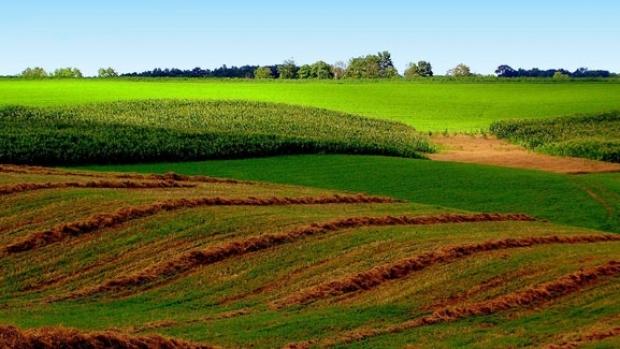 Guvernul vrea să garanteze creditele luate pentru terenuri agricole