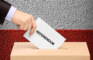 PSD propune modificarea legii referendumului. PNL va ataca proiectul