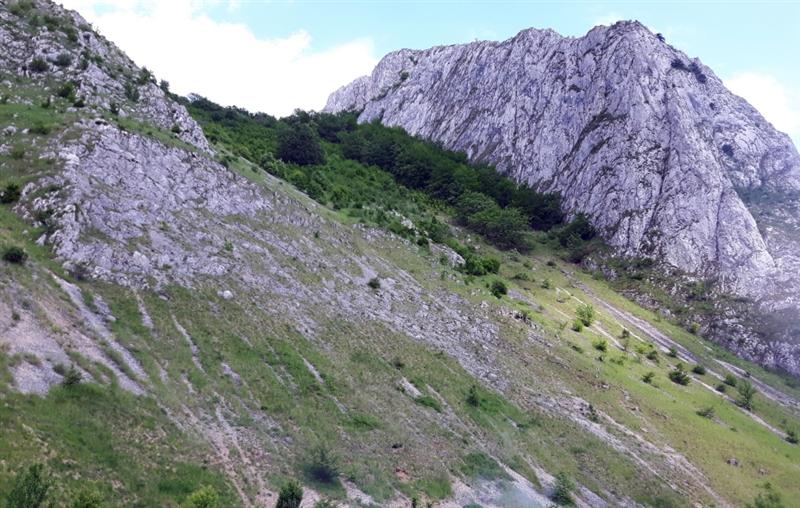 Accident teribil! Un clujean a murit după ce s-a prăbuşit în gol 40 de metri de pe o stâncă 