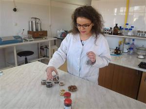 O studentă din Cluj a inventat o băutură din ghindă care înlocuiește cafeaua 