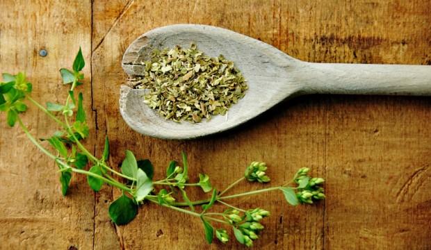 Oregano – 5 beneficii neștiute pentru sănătate