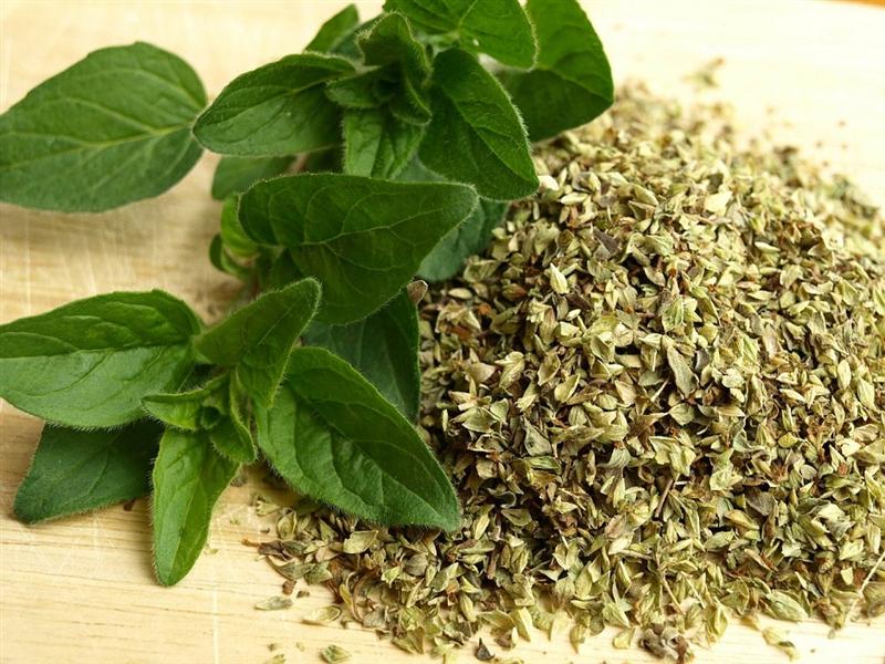 Oregano: 5 beneficii neștiute pentru sănătate