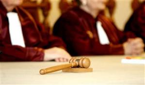 CCR a respins sesizarea fostei soţii a lui Dragnea, privind abuzul în serviciu. Curtea recomandă Parlamentului să pună prag pentru prejudiciu  