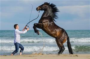 Celebrul Miron Bococi revine în România, la Salina Equines Horse Trophy 2017 FOTO/VIDEO