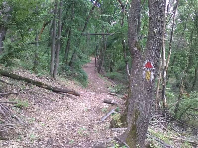 Traseele montane din Cluj, pregătite pentru vizita turiștilor