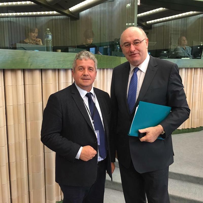 Reacţie a Comisiei Europene în criza cărnii de porc în urma unei sesizări a eurodeputatului Daniel Buda