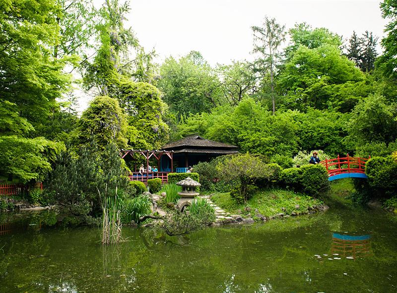 Grădina Botanică din Cluj se reinventează. Clujenii aleg noul logo FOTO
