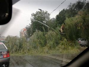 Furtună la Cluj | Mai mulţi copaci rupţi şi un acoperiş decopertat în centrul Clujului