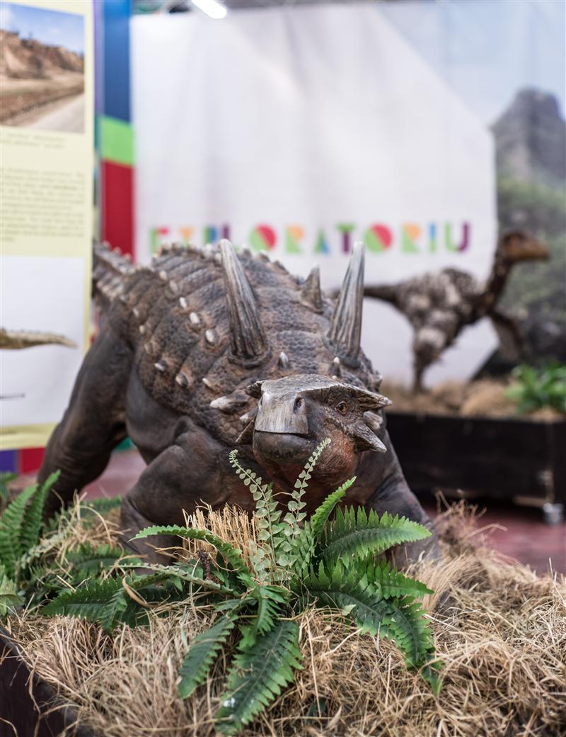 Ultimii dinozauri din Transilvania revin la Cluj FOTO