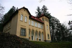 E oficial. Castelul-muzeu de la Ciucea intră în proprietatea judeţului Cluj
