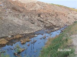 Situaţia rampelor neconforme de deşeuri. La Pata Rât, cele mai mari probleme 