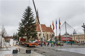 Bradul de Crăciun a ajuns în Piaţa Unirii. Are 17 m şi a fost donat FOTO