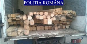 Lemne tăiate ilegal, în valoare de 3.800 de lei, confiscate la Cluj FOTO