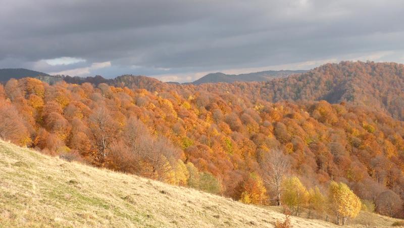 Prognoza meteo pentru miercuri şi joi. Cer variabil în vest, înnorări şi precipitaţii în restul teritoriului