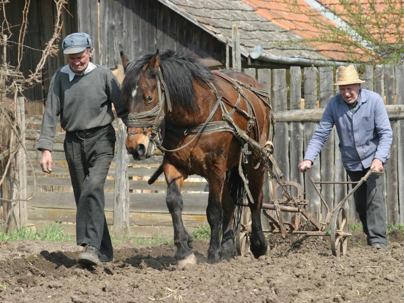 Bloomberg: România, cea mai mare creștere economică ascunde cea mai mare sărăcie