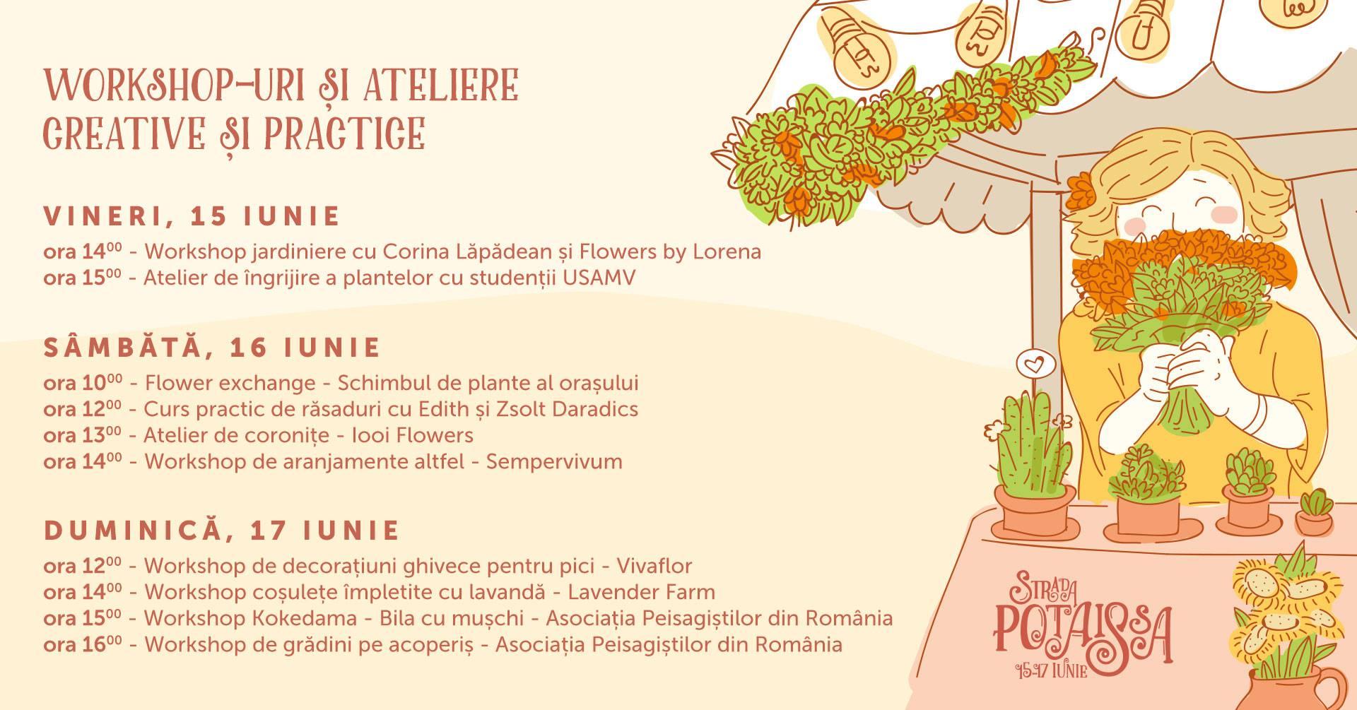 Poza noua 12.06.2018