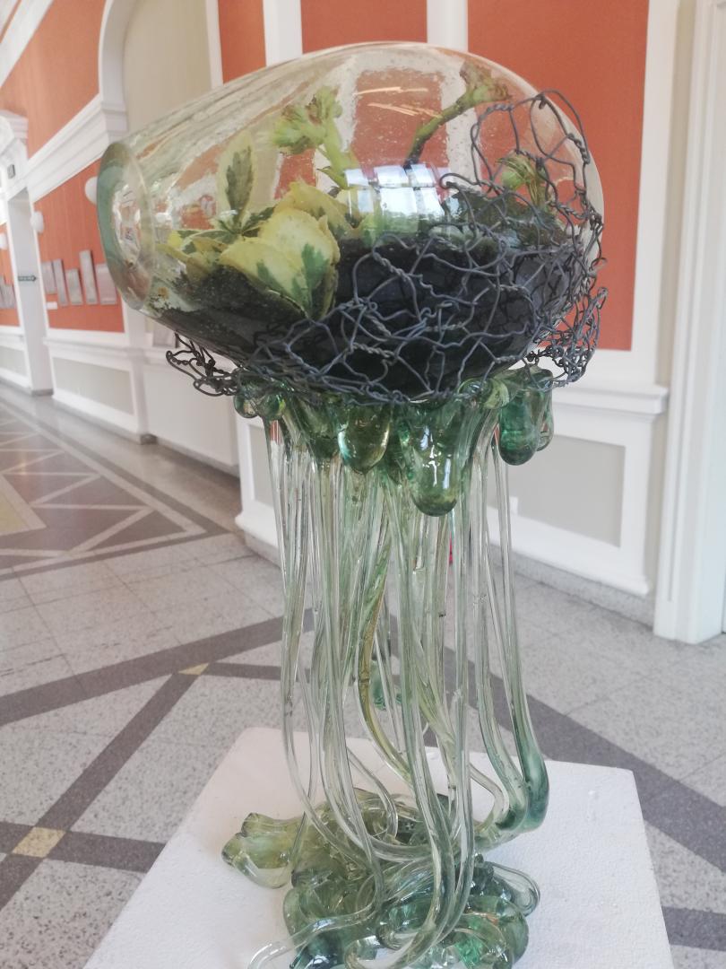 Plante cu rădicini de sticlă, la Cluj