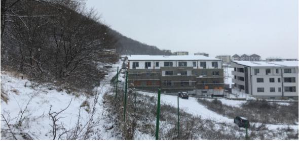 Poza noua 17.02.2019